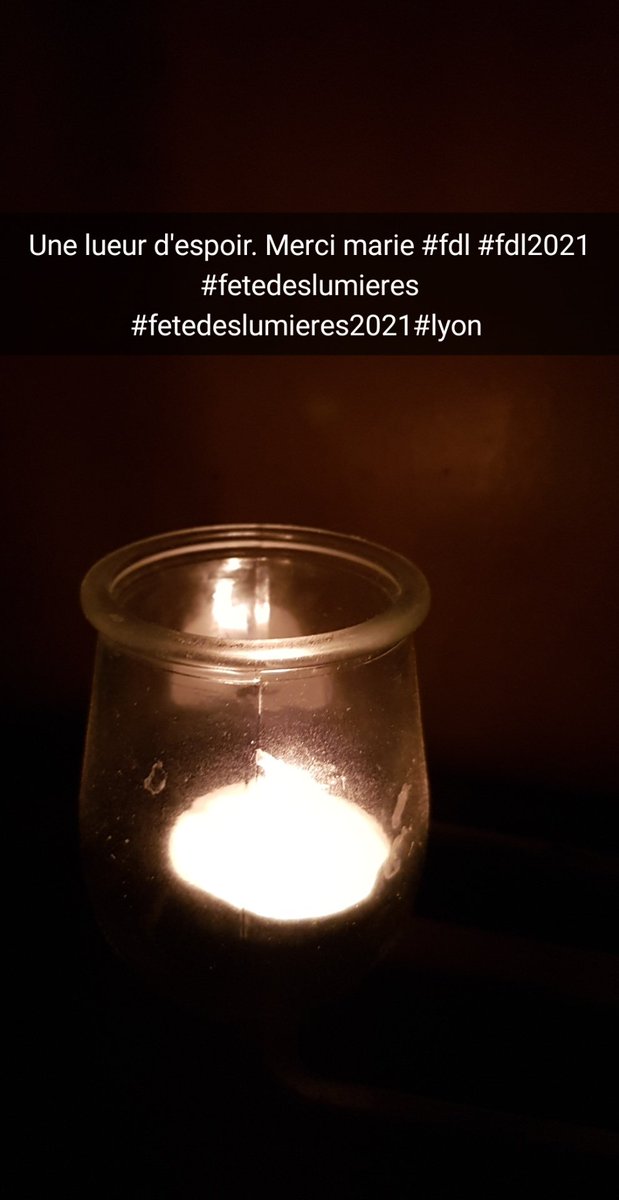 no laws no code of conduct tweet media