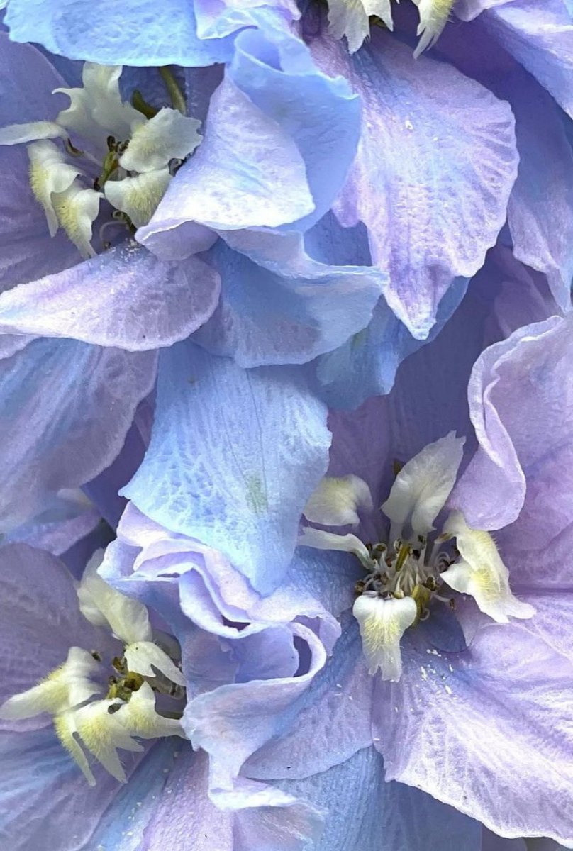 ____

Muchas veces las cosas no se le dan al que las merece más, sino al que persevera con insistencia.