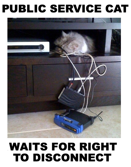 civilservicecat's tweet photo. ONLY THE WIFI GETS TO DISCONNECT IN MY OFFICE #Righttodisconnect #government #govt #onpoli #cdnpoli #sendemailsinPJs #takecallsinthecar #makesupperduringmeetings #deliverablesdueforovernightreview #Idontevengetalunch https://t.co/ZqsXXkguV7