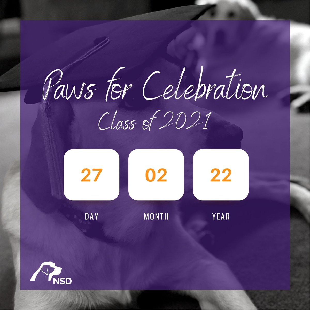 We're getting ready to celebrate all of our 2021 graduates and hope you will be able to join us virtually! Save the date for February 27, 2022. Details and registration links will be sent out in January.