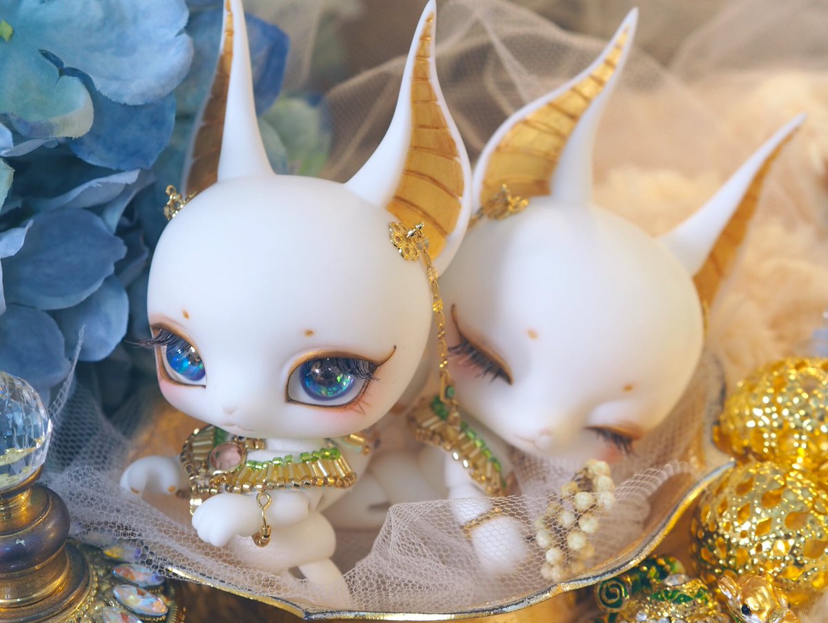kicodoll's tweet photo. ホワイトアヌビスもかわいいよ🌸 https://t.co/TtKfHd9tam