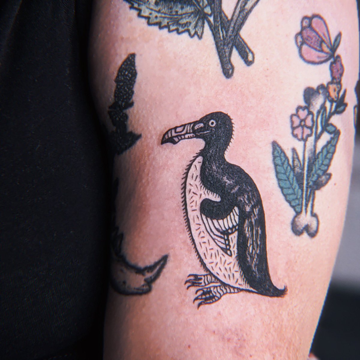 Healed Loon by Chuck Day TattooNOW