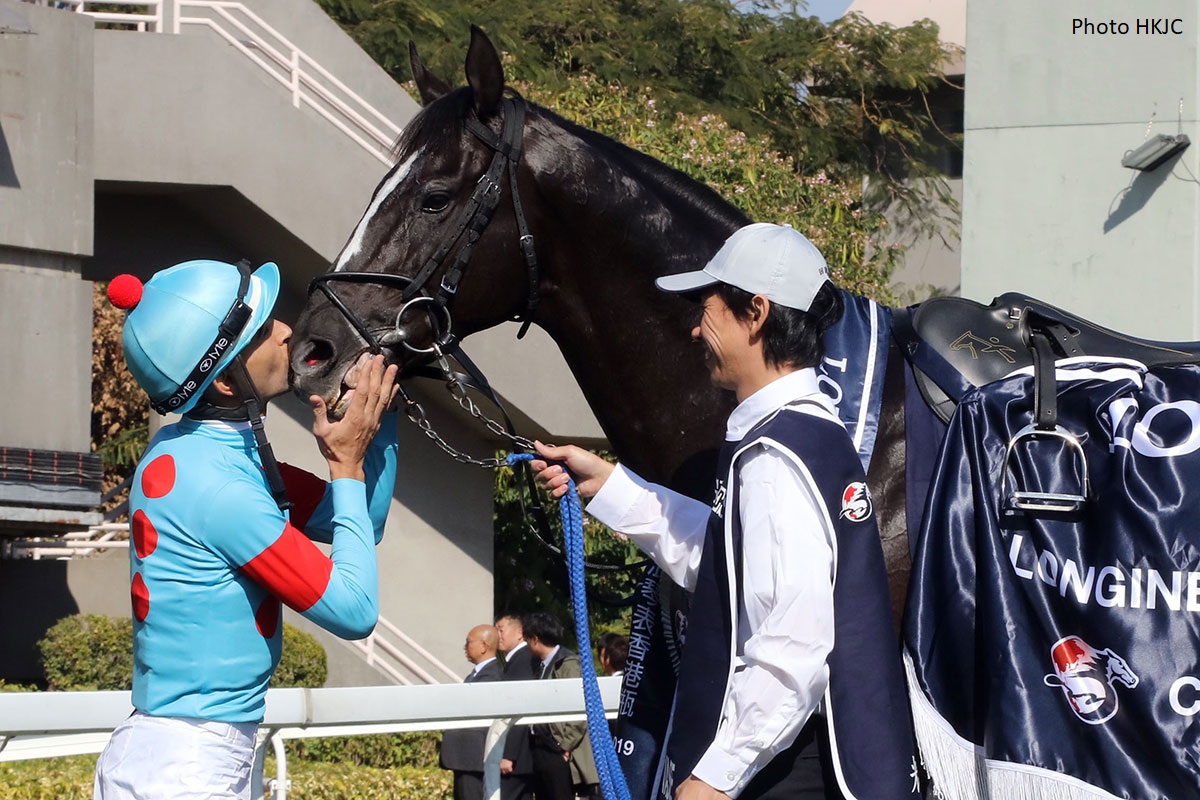 Hong kong vase 2022 betting tips Hong kong vase 2022 betting tips bearing between two points javascript replace