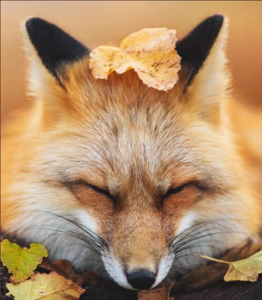 ❤️Emily Marie Black Mikaelson❤️ tweet media