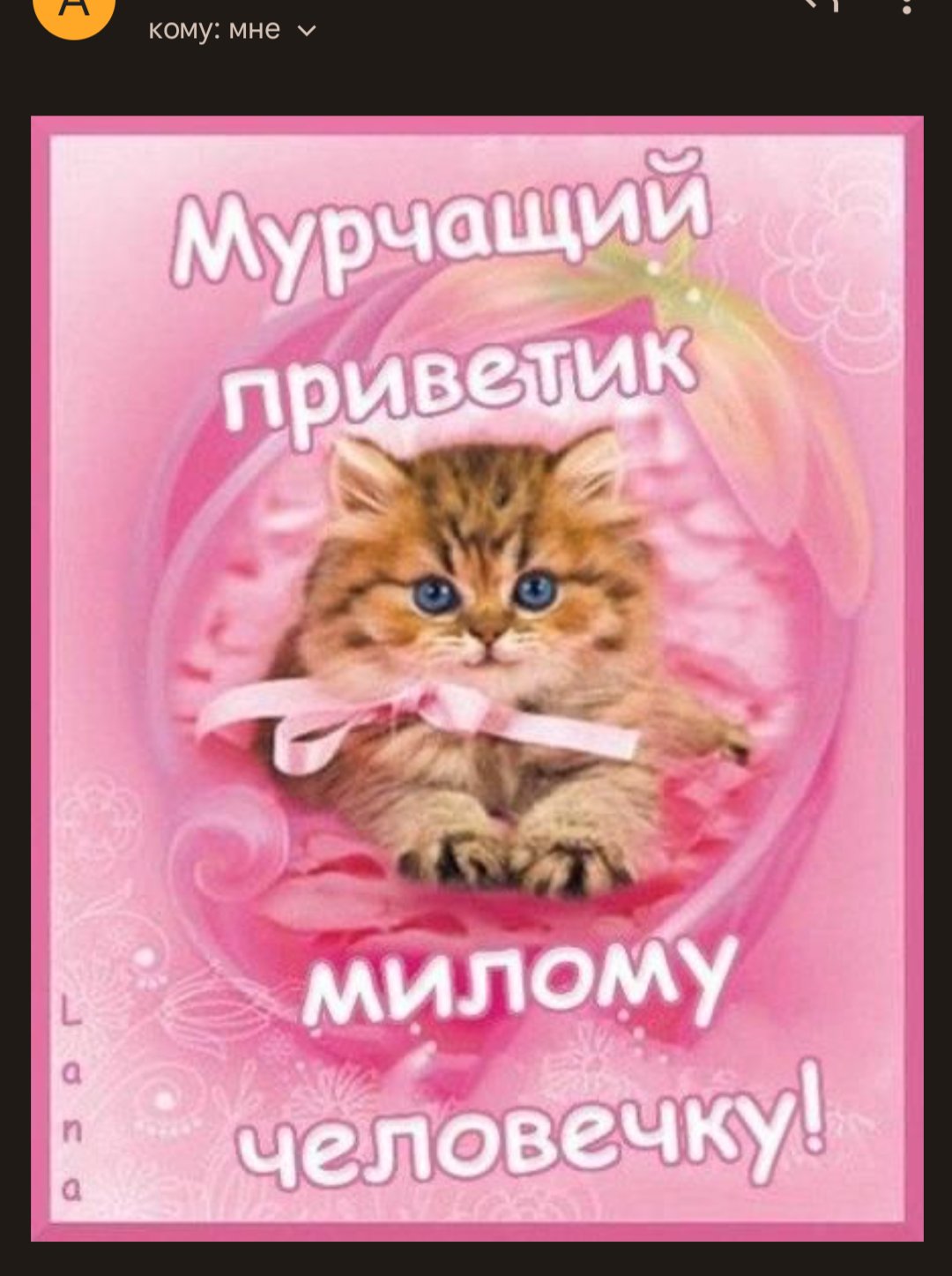 Картинка с приветиком