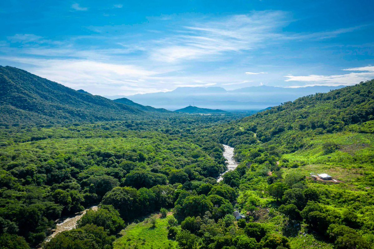 ctcsierranevada's tweet photo. 🆘#1500Latidos Pueblos y Amigos de la #SierraNevada, invitamos a toda #Colombia a unirse a la campaña ¡Que Fluya el Corazón del Mundo! #NoalaRepresaBesotes #QueFluya la vida  #QueFluyaelRíoGuatapurí  
👉https://t.co/ZiC9fLWo4u https://t.co/l6yXONMtzR  #SalvemosElCorazónDelMundo https://t.co/ljSeV2QDx3
