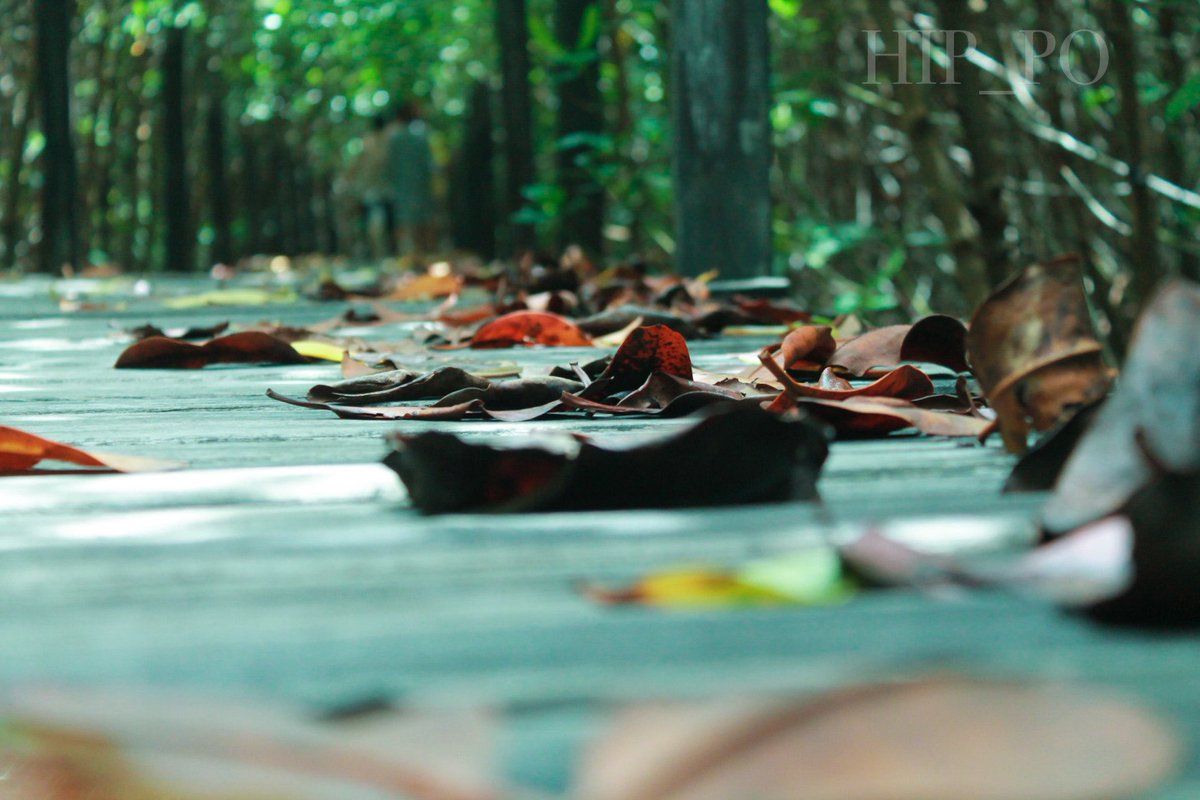 หมูเด้ง🦛🦛 เด้งดึ๋งๆ tweet media