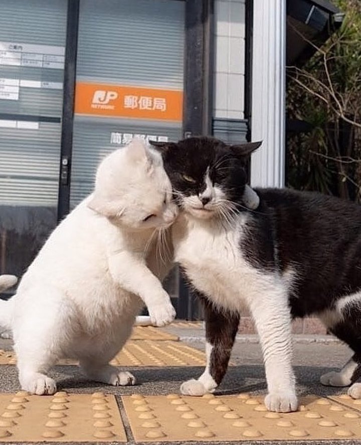 you and me ‹3