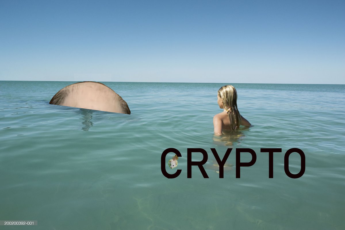 shibinyou's tweet photo. #crypto https://t.co/MtinsfDLcp