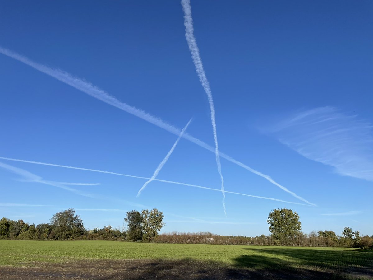 That 1Wheel Guy tweet media