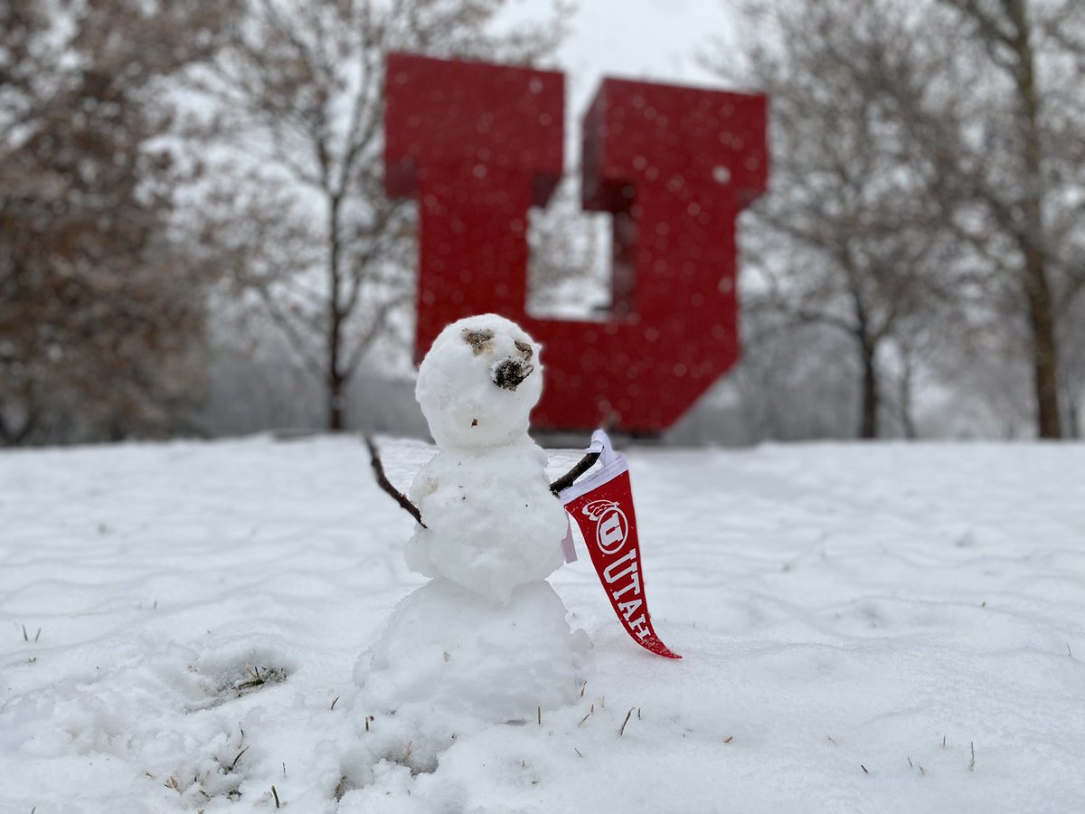 UUtah's tweet image. Today’s conditions. ☃️