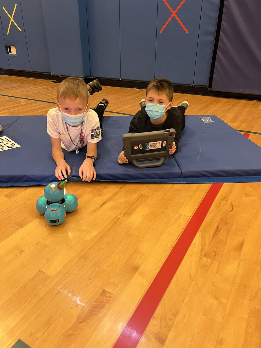 Laura McCue tweet media