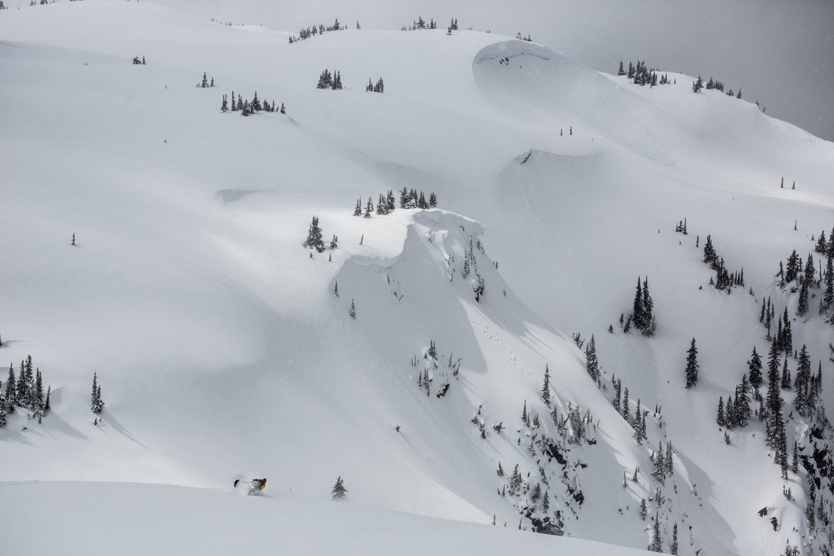 SeeRevelstoke's tweet photo. Dreamy, isn't it? Plan the ultimate sledding trip with @revelstokesnowmobileclub 's Sledder Guide.
Check it out here: https://t.co/zK1tGkQZZz
📸: @steveshannonphoto
#therealstoke #revelstoke #explorebc #kootrocks #sledbc https://t.co/9xwsZT3aAo