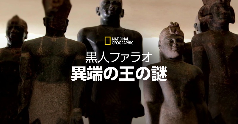 ナショナル ジオグラフィック TV on X: ナショナル ジオグラフィック TV on X: