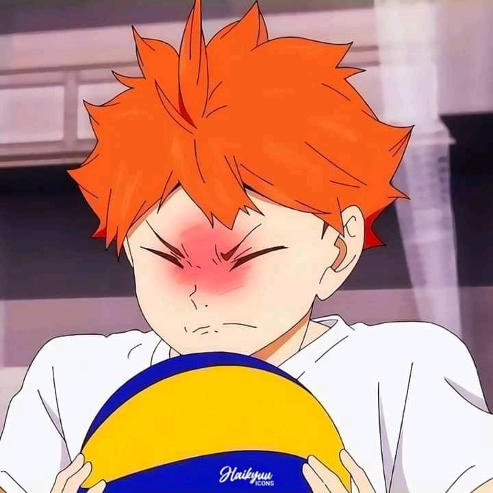 wsthxly's tweet photo. Have a taste of tangerine's cuteness before you start your day. https://t.co/gikkjGNPDD