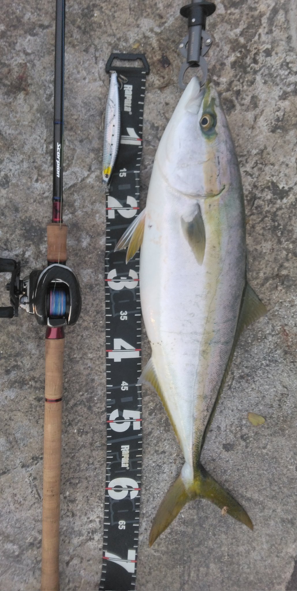 美品送料込み※スコーピオン1787RS-2