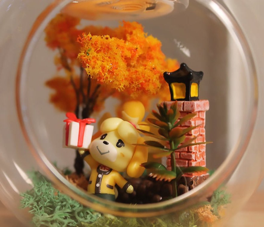 stolennymph's tweet photo. animal crossing terrariums https://t.co/7tM5qcmkRJ