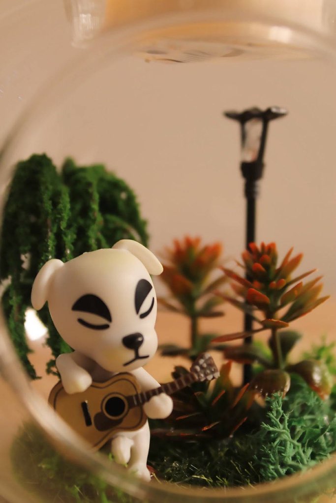 stolennymph's tweet photo. animal crossing terrariums https://t.co/7tM5qcmkRJ