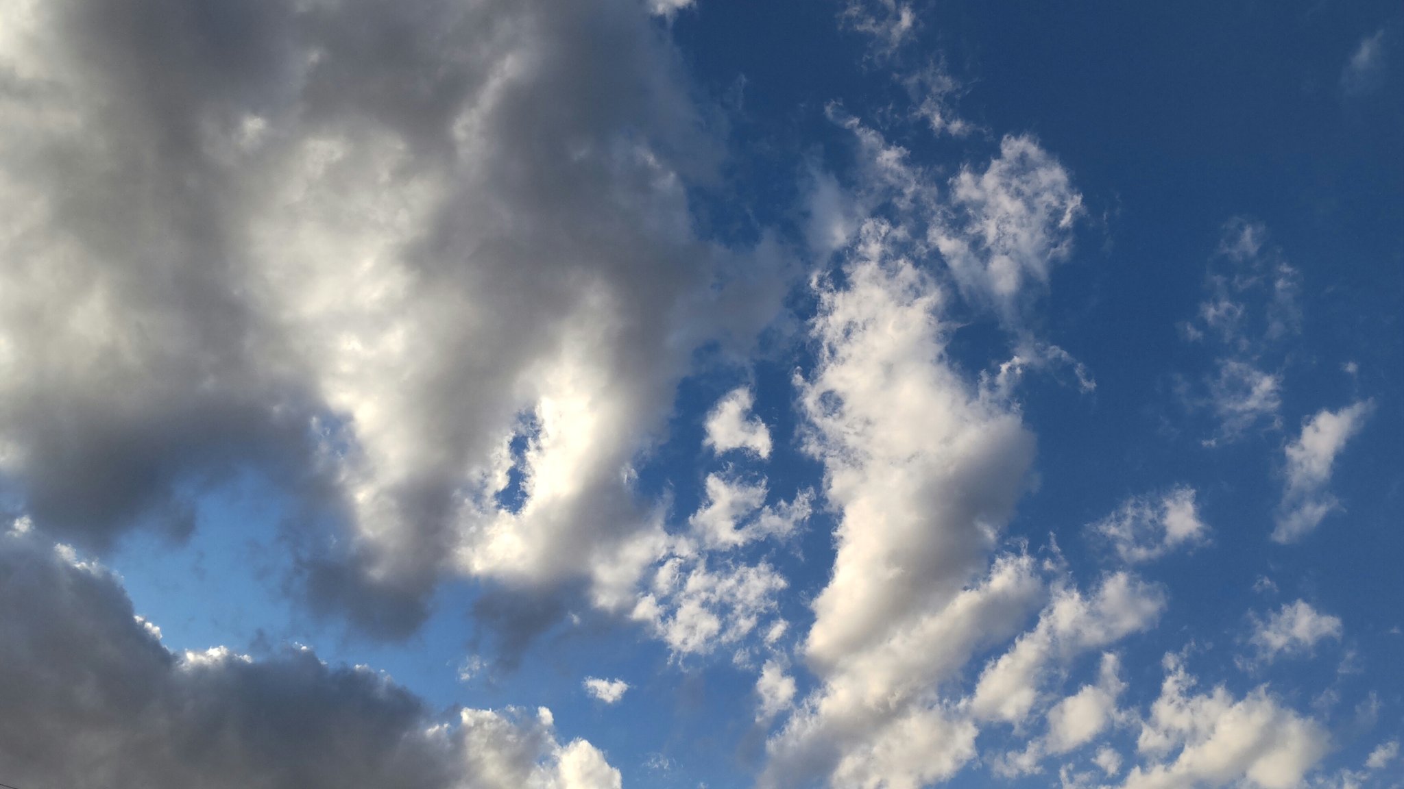 市川カネヅカsc Twitter Search Twitter