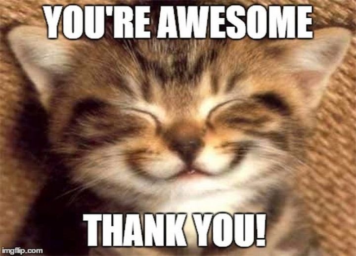 WSDJBM's tweet photo. Thank you ❤️JB community❤️ for  supporting our December fundraiser! Together we raised $4500 for our technology plan @WinnipegSD @PauletteHuggins https://t.co/4ENmDK8jJM