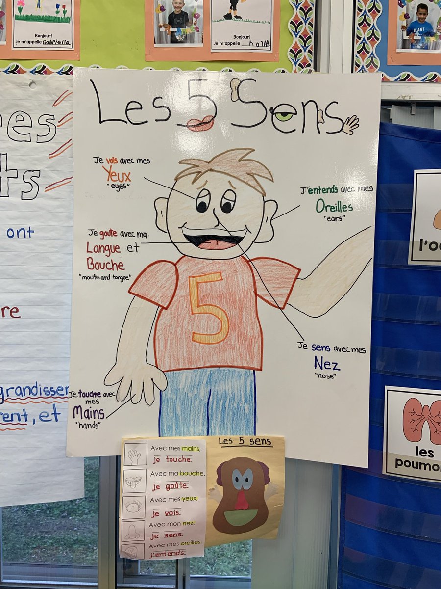 Grade 1’s learned about the 5 senses by playing a fun hands on game with Mr. Potato Head👃🏼👂🏽👄👁👋🏼