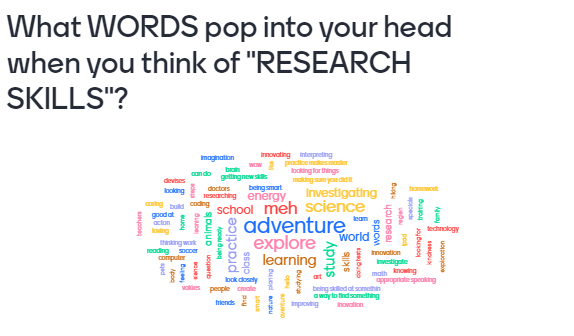 Paul Cheevers tweet media