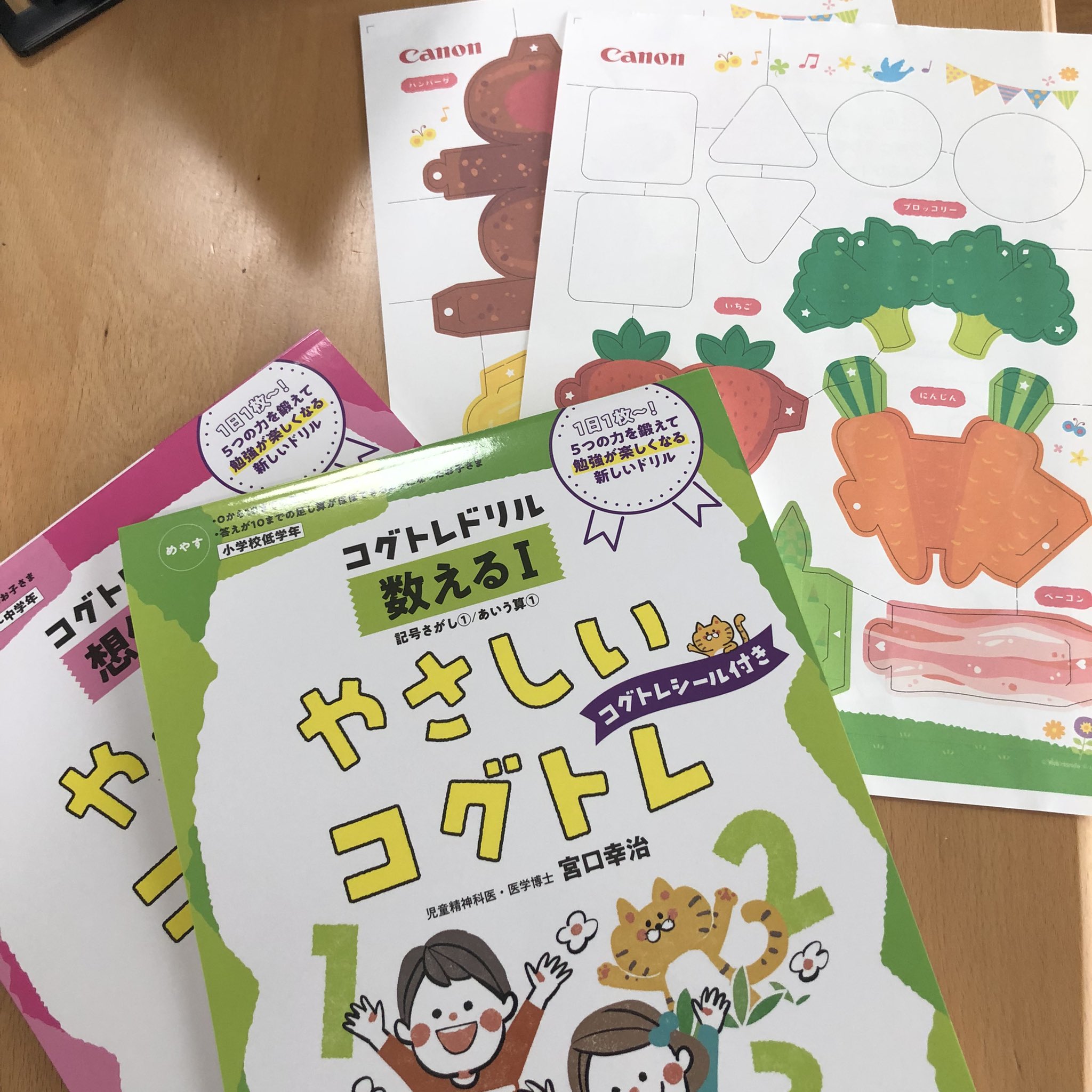 ブルーレモン 双子小1で不登校の母 コグトレドリル 1枚ずつちぎり取って記入するタイプのドリルなんだけど 割と分厚く良い紙 なので 捨てるのはもったいない それで思いついたのが 裏面にcanonのペーパークラフトを印刷して 工作に使う方法 印刷する