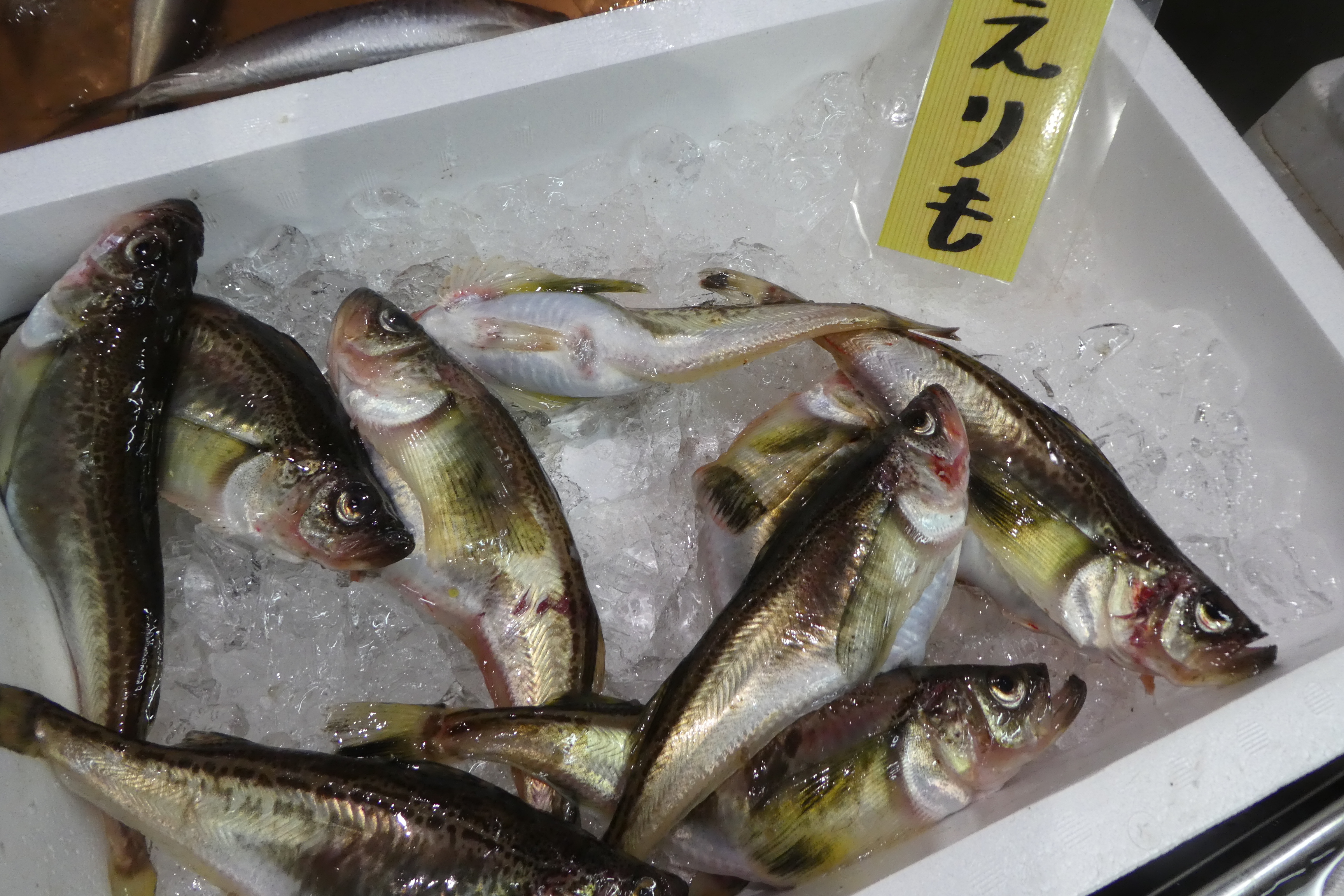 ザ 豊洲市場 公式 ハタハタ 秋田の郷土料理 しょっつる鍋 で有名 しょっつるは 塩魚汁 で ハタハタを塩漬けして発酵させ その上澄み液から作る魚醤の一種 身離れのよい白身で食べやすい魚です 写真は北海道産のメスで子持ち 卵は ぶりこ