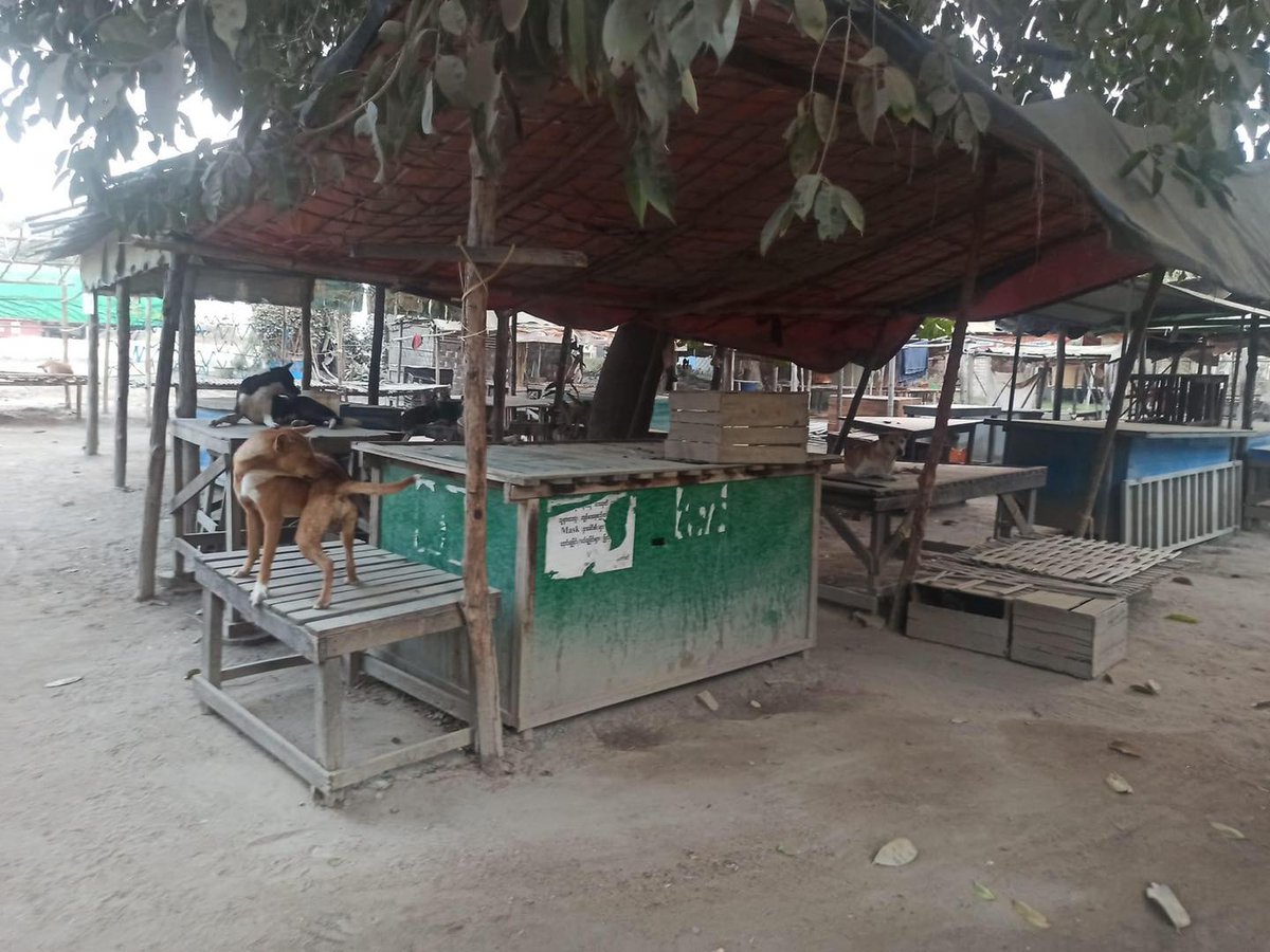 WinHtut99787834's tweet photo. In Amarapura Tsp, Mandalay Division : Shwe-Kyat-Yat Wet Market on the morning of Dec10, Silent Strike Day Scene. People in Mandalay are joining Silent Strike on World Human Rights Day.
#SilentStrike
#OurCityOurRules
#Dec10Coup 
#WhatsHappeningInMyanmar https://t.co/WUBut0URgJ