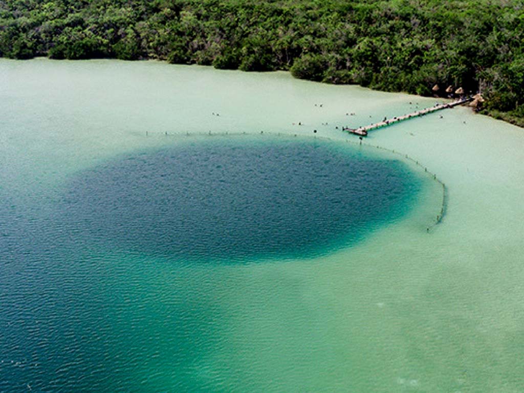 EmbaMexMls's tweet photo. #TravelFriday
📍Tulum has a secret called Kaan Luum, which means "yellow land" in Mayan. The most unique feature of the lagoon is the cobalt blue cenote that sits in the center. #TurismoMexico #MagicMexico 
#MexicanBeach
#ParadiseMexico
@WeVisitMexico https://t.co/BGkIyyNxOo