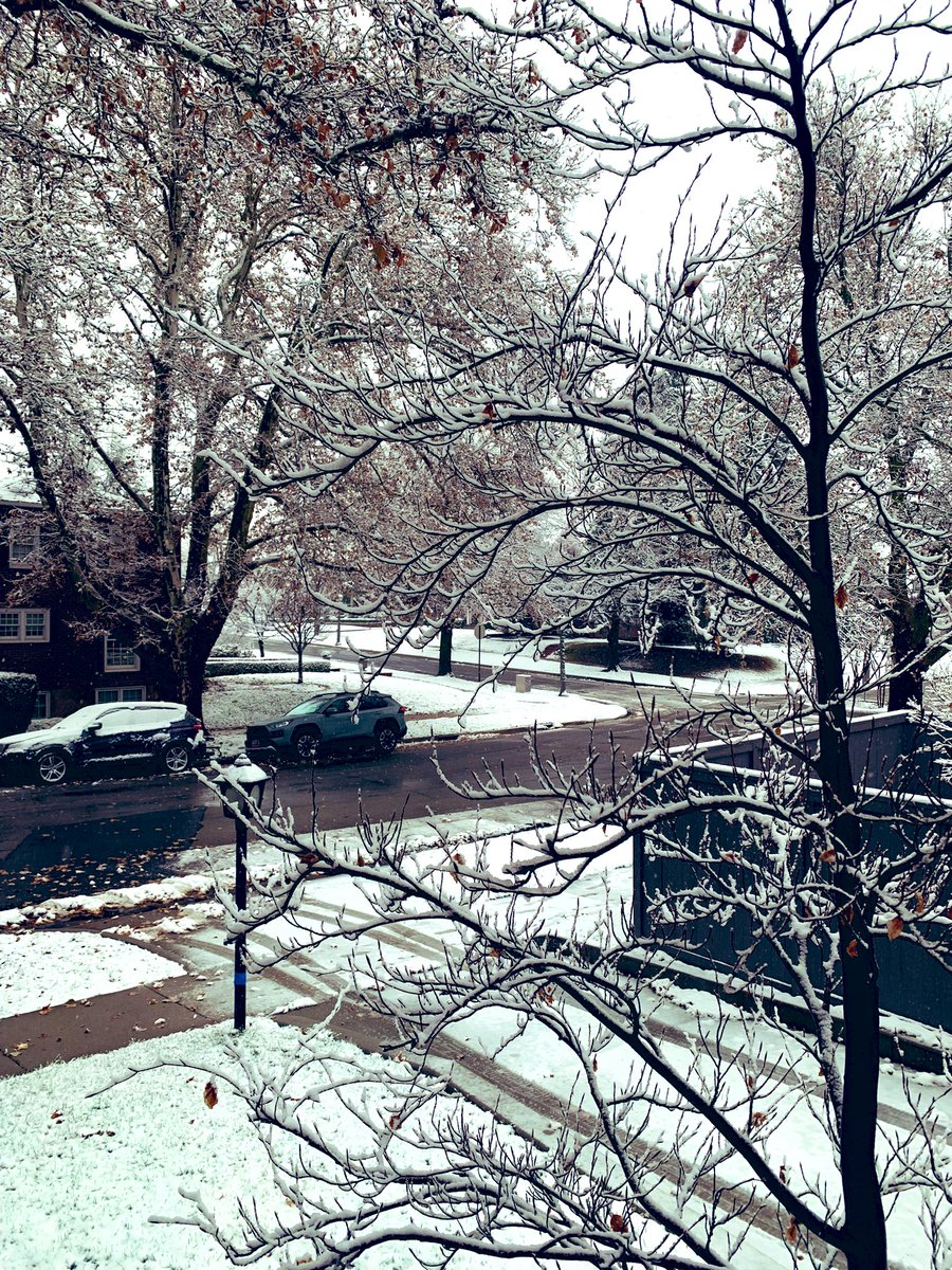 KevinShahMD's tweet photo. #HelloSnow ❄️ https://t.co/eQqHrsUaSS