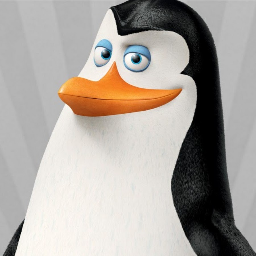 пингвины из мадагаскара ковальский. ковальский блоггер. ковальский из мадагаскара. ковальский из пингвинов из мадагаскара. ковальский пингвин.