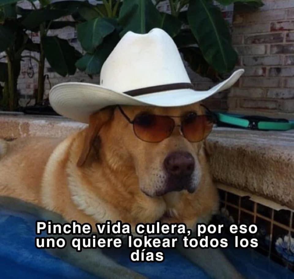 Hernán García (@hernan308) on Twitter photo 