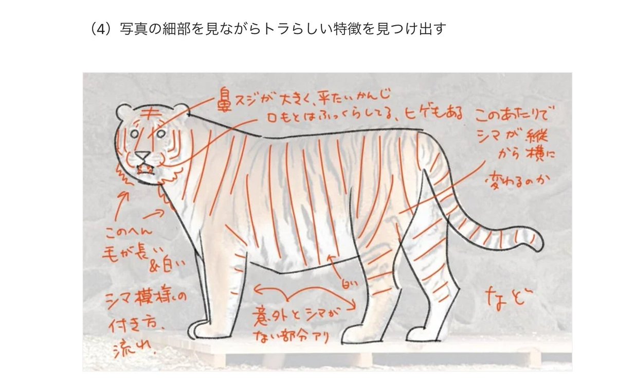 Twitter 上的 サタケシュンスケ Satake Shunsuke まだ年賀状のイラストが描けていない方 初心者向けに トラの描き方を書きました 毎年 干支の動物はお仕事で何パターンも描くので自然と鍛えられています Twitter Twitter 上的 サタケシュンスケ Satake Shunsuke まだ年賀状のイラストが描けていない方 初心者向けに トラの描き方を書きました 毎年 干支の動物はお仕事で何パターンも描くので自然と鍛えられています Twitter