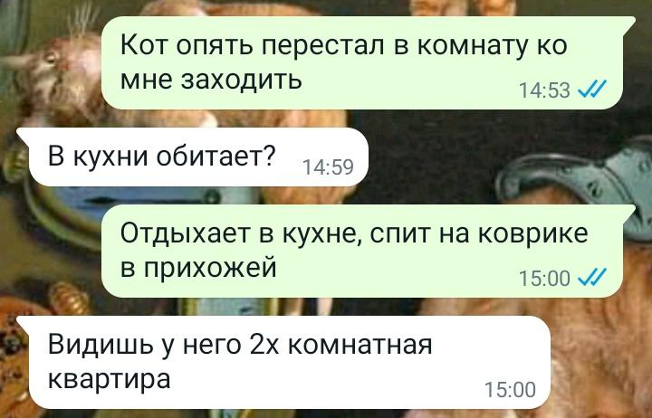 MrWideside's tweet photo. Пожаловался маме на кота. Выяснилось, что живём мы с котом, вроде, вместе, но жилищные условия разные. https://t.co/D1gHPx5Bjc