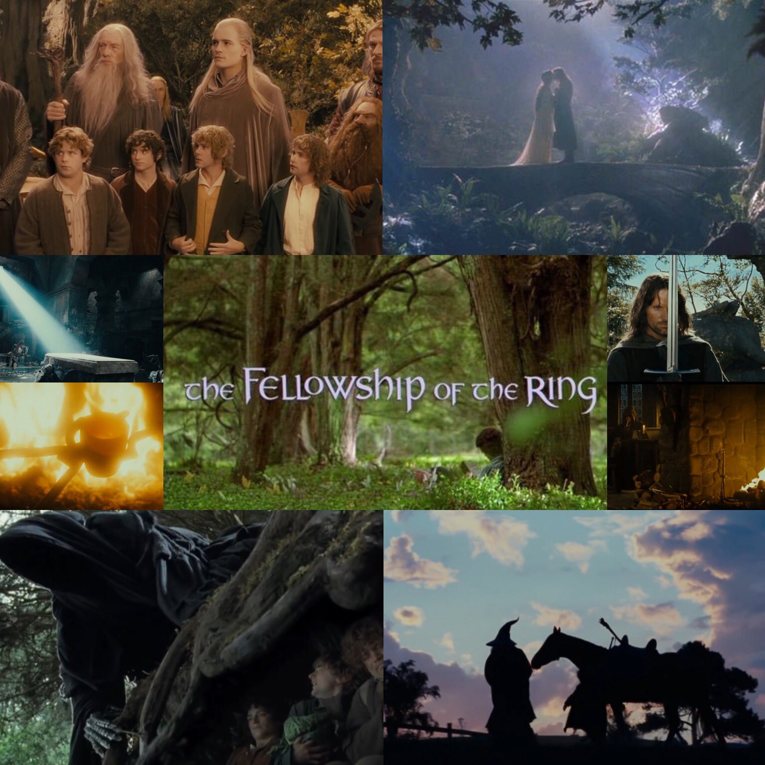 THE FELLOWSHIP OF THE RING - 20TH ANNIVERSARY