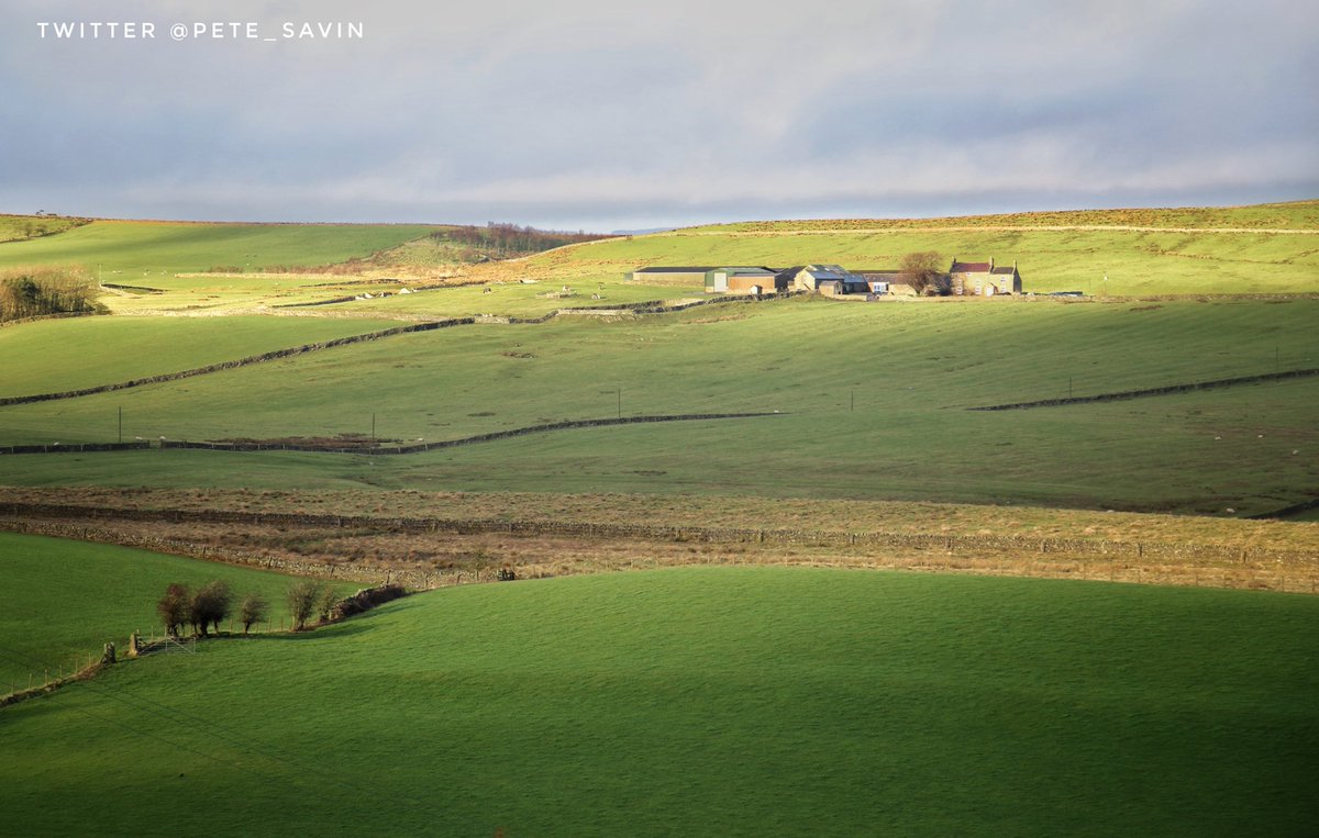 pete_savin's tweet photo. The fort of Aesica on #HadriansWall and the farm of Great Chesters. In the foreground the Stanegate Roman road runs as a low mound caught in the winter light. Aesica was added in cAD128 on the site of milecastle 43 https://t.co/PsK4hEhDlr