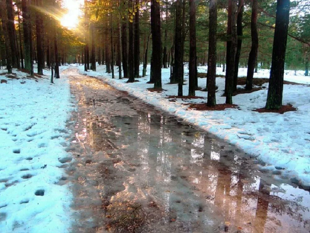 Лилия (@lnliliya) on Twitter photo 