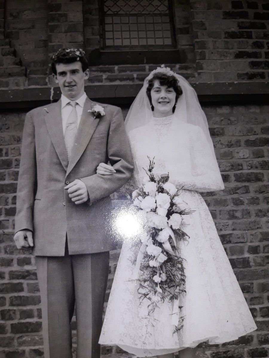 charlie norman Ⓥ (she/her) tweet media