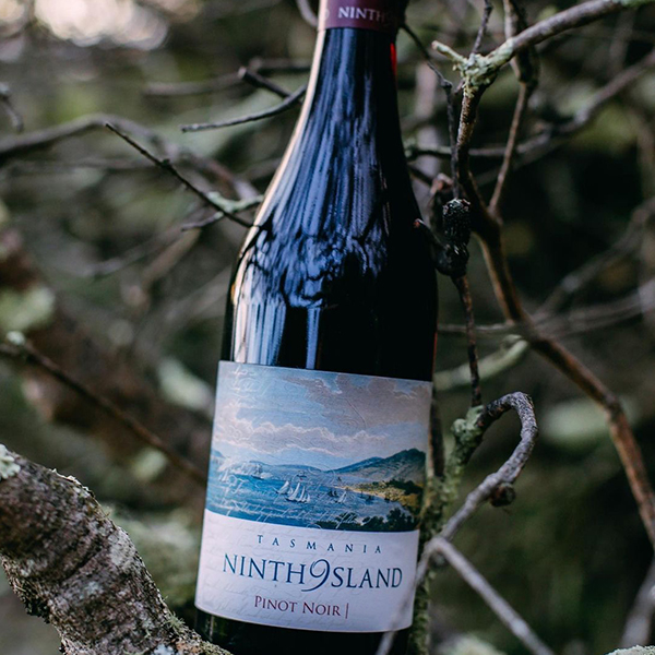 GetWinesDirect1's tweet photo. Tassie is a real treat for all the senses - let us take care of the taste, capturing the wild flavours of home for you to enjoy wherever you are. 🍃🍷

#Repost @ninthisland

#tasmania #wine #winelover #winetime #winery #redwine #pinotnoir #tassiewine #wineonline #getwinesdirect https://t.co/PoLI1AkP08