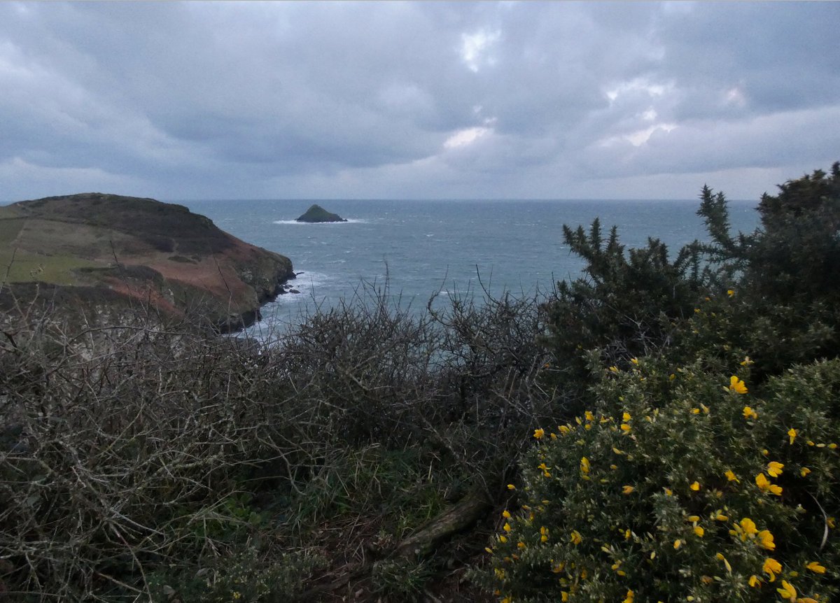 CliffsideKatie's tweet photo. cold westerly blowing straight off the sea today π¨ #bitingwind #leadmines https://t.co/s23BEwItFT