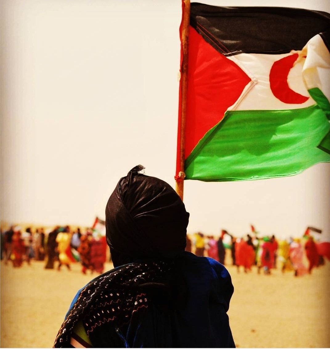 wanibik_diana's tweet photo. Hoy #DiaDeLosDerechosHumanos no podemos olvidarnos del pueblo saharaui que lleva 46 años en el exilio y de la ocupación por parte de #Marruecos en el #SaharaOccidental donde se vulneran los #DDHH día tras día solo por reivindicar su derecho a la autodeterminación 🇪🇭✌️ https://t.co/9RhppKxbac