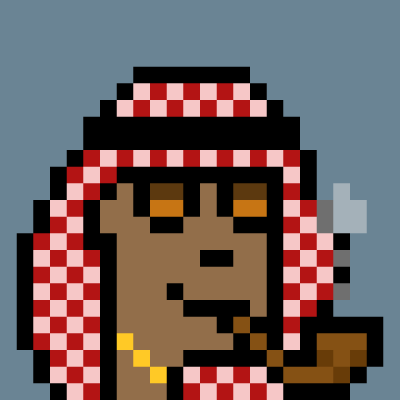 Chrisard9's tweet photo. @SOLBigBrain #ArabPunkz #LFG #WGMI #ToTheMoon https://t.co/WKYUWCO8Dq