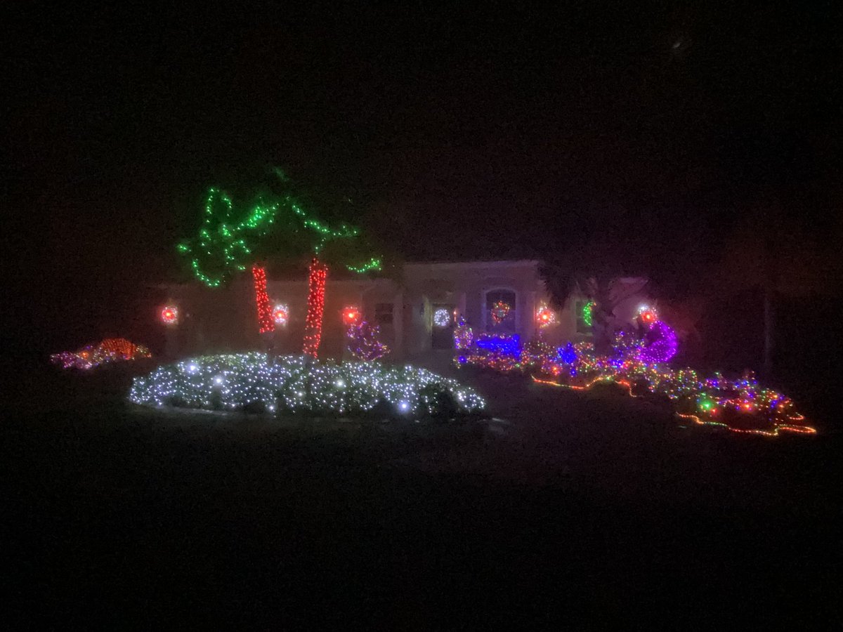 🎄🦌Holly Jolly Christmas ☃️🎅🏻🏝 tweet media