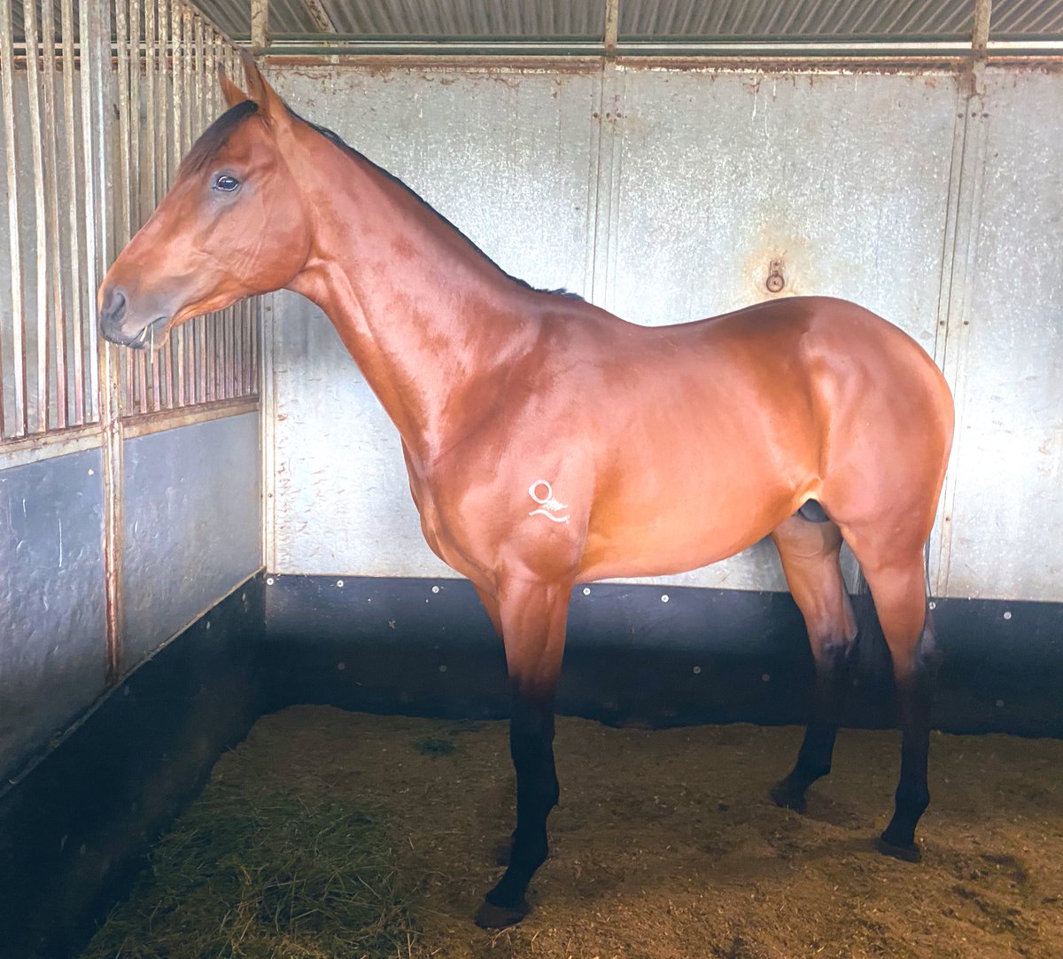 mitchellbeer tweet media