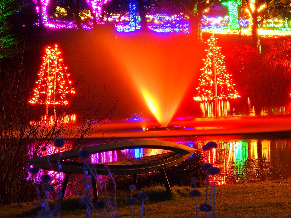FStoppedUp's tweet photo. Slightly different angles at @VanDusenGdn #FestivalOfLights #Vancouver https://t.co/eZP1E6FmFt