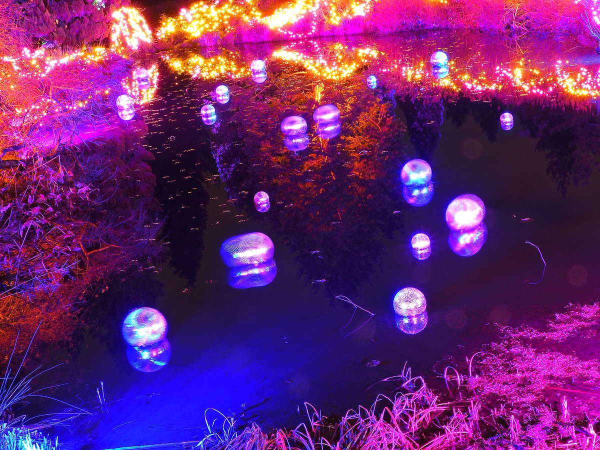 FStoppedUp's tweet photo. Slightly different angles at @VanDusenGdn #FestivalOfLights #Vancouver https://t.co/eZP1E6FmFt