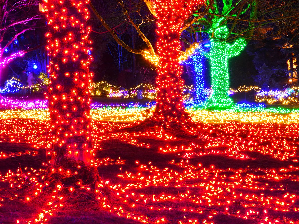 FStoppedUp's tweet photo. Slightly different angles at @VanDusenGdn #FestivalOfLights #Vancouver https://t.co/eZP1E6FmFt