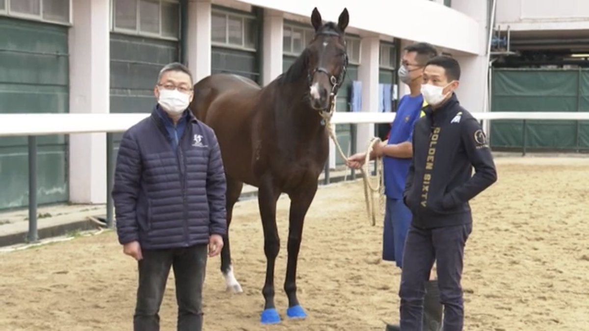 HKIR preview show time with @Vincenthocy on Golden Sixty, @cavaleiro83 on his favourite HKIR wins, features on Loves Only You and Pyledriver, plus expert analysis and leading connections across the four races youtu.be/0iTqJY6Obw4