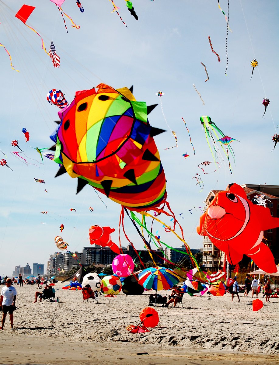 ThatCameraShow's tweet image. 